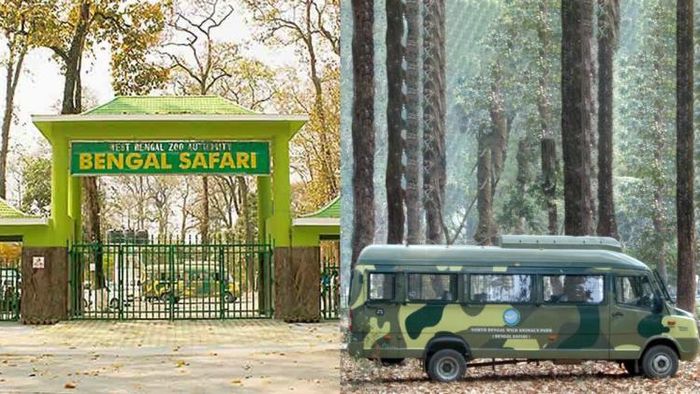 বেঙ্গল সাফারি পার্কে বাড়ছে গাড়ি-রাইড