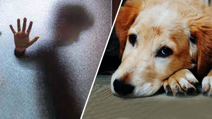 প্রতীকী ছবি