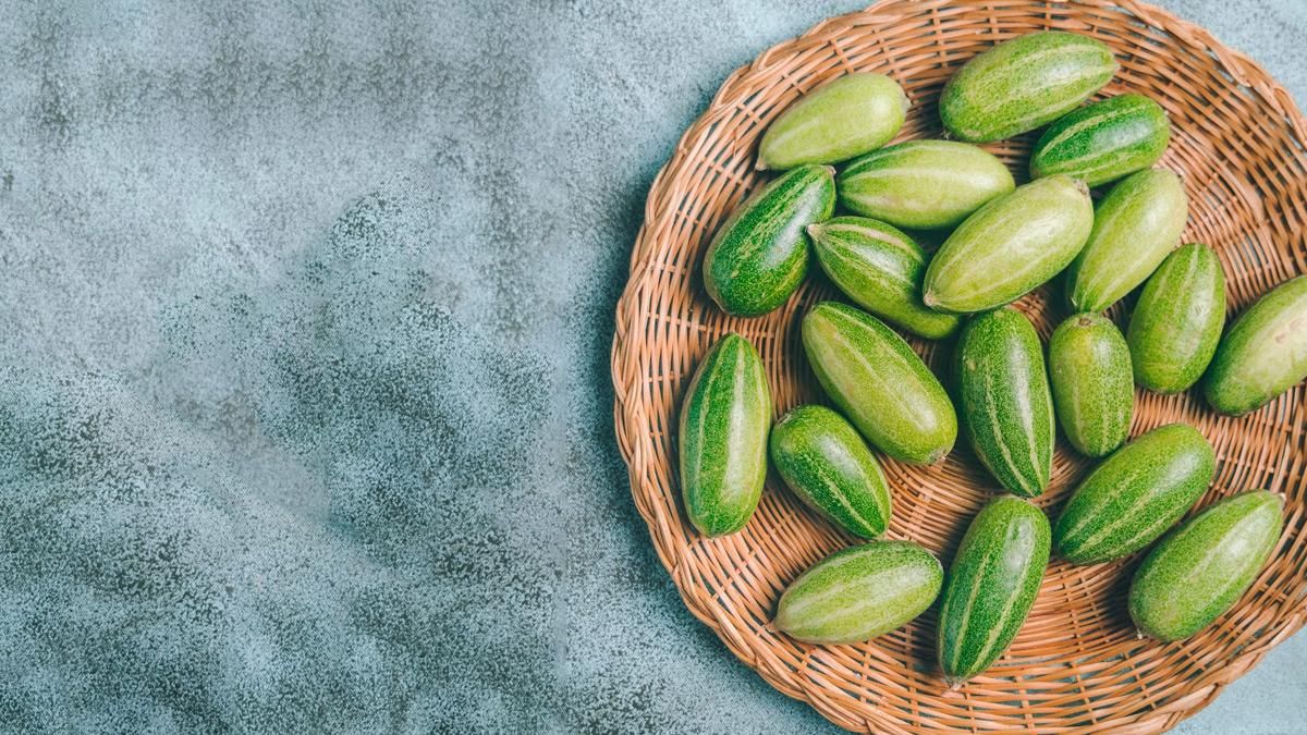 পটল খাওয়ার বহু উপকারিতা রয়েছে