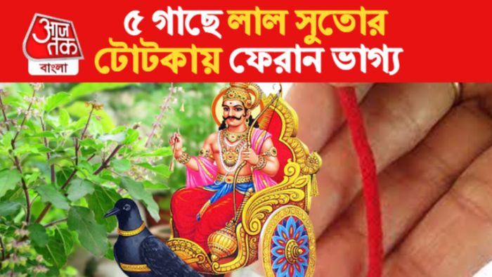 Astro Tips For Shani Dasha Remedies