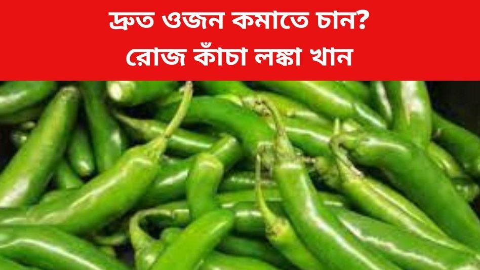 জলদি ওজন কমাতে কাঁচা লঙ্কা খান, কীভাবে-কতটা খাবেন?  জলদি ওজন কমাতে কাঁচা লঙ্কা খান, কীভাবে-কতটা খাবেন?