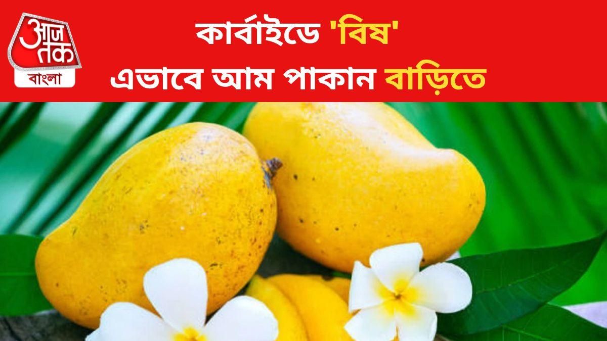 বিষাক্ত কার্বাইড নয়, আম বাড়িতেই সহজ উপায়ে পাকানো যায়, জানুন