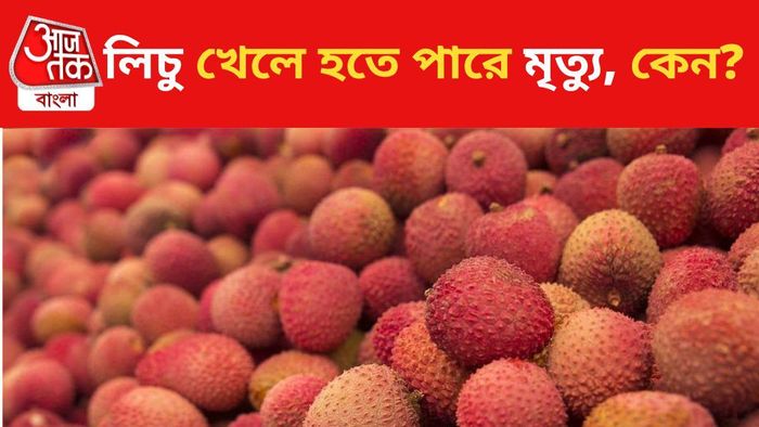 লিচু/ প্রতীকী ছবি