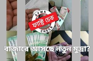 facebook users facebook users