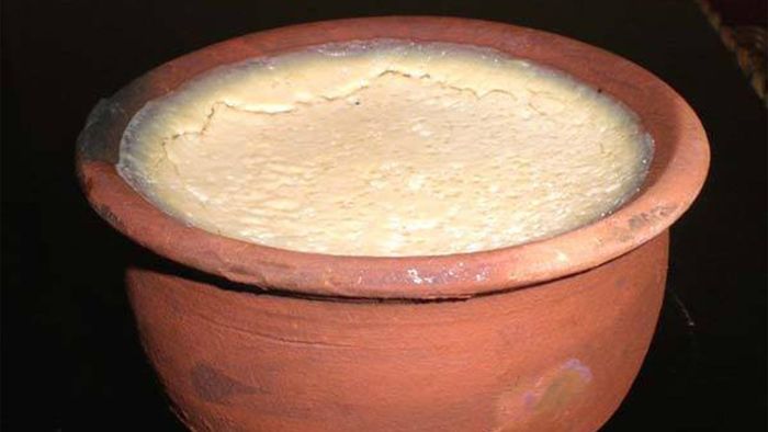 দই খাওয়ার নিয়ম