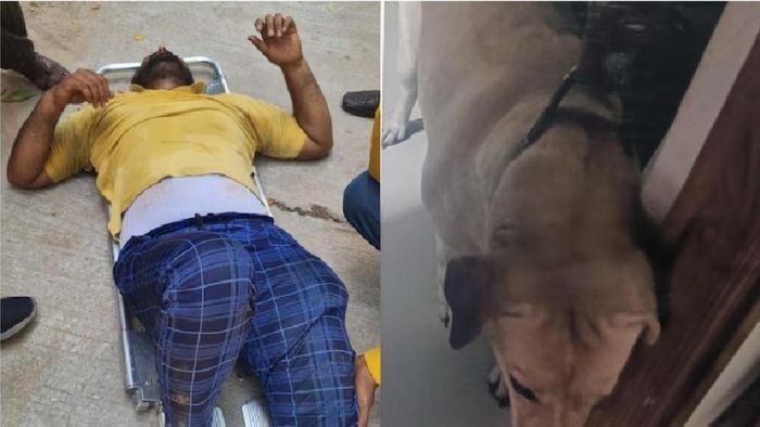 আহত ডেলিভারি কর্মী।