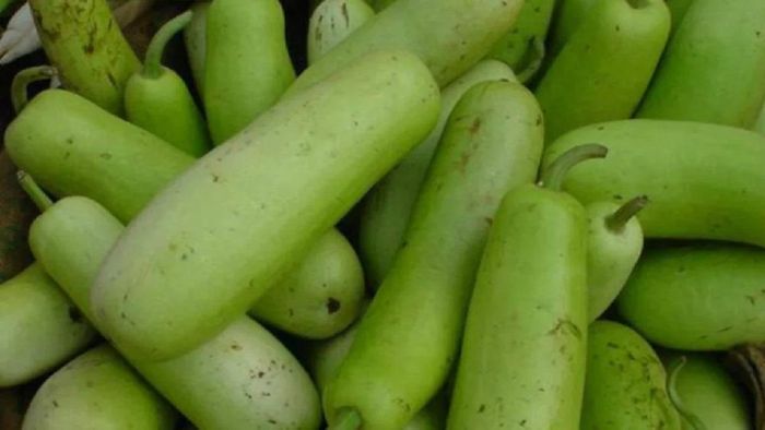 লাউয়ের উপকারিতা