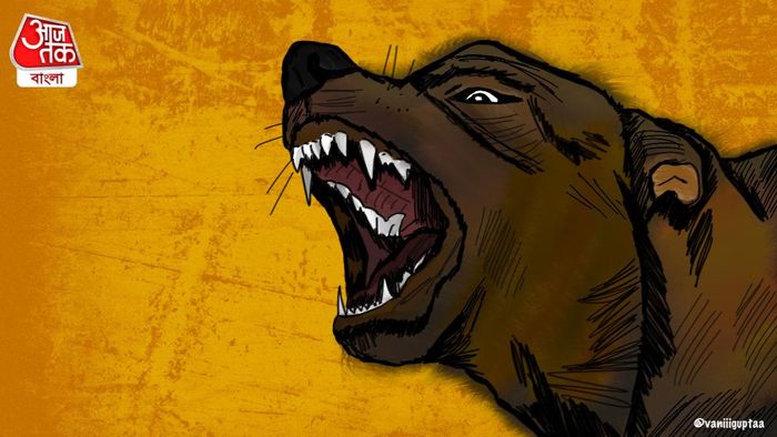 প্রতীকী ছবি