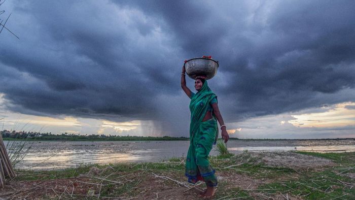 প্রতীকী ছবি (PTI)