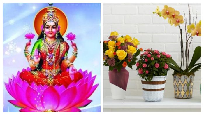 প্রতীকী ছবি