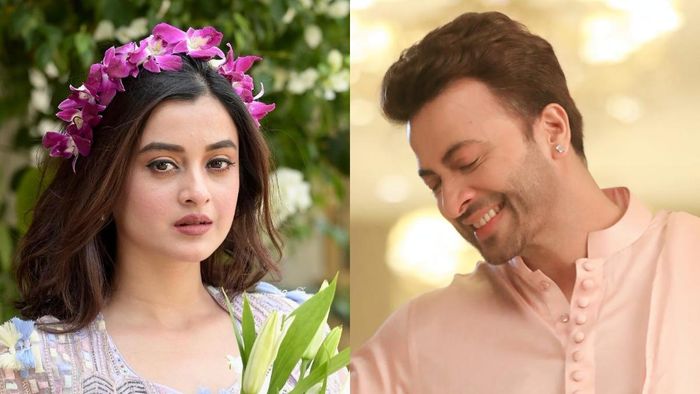 ‘অন্তরাত্মা’র পর ফের শাকিবের সঙ্গে জুটি?