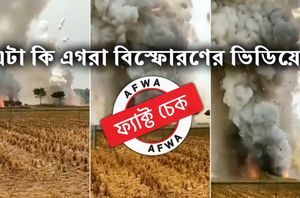 Social media users Social media users