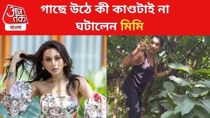 গাছে উঠে ফল পাড়ছেন মিমি চক্রবর্তী ছবি সৌজন্যে: ইনস্টাগ্রাম