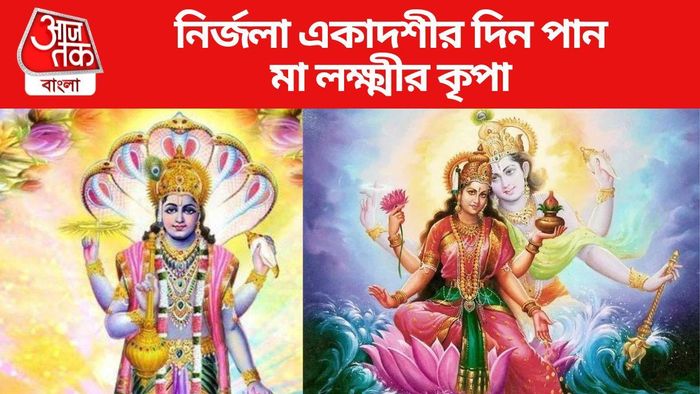 নির্জলা একাদশীর দিন করুন এই উপায়