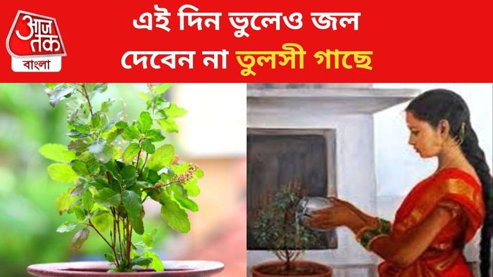 তুলসী গাছে কোনদিন জল দিতে নেই জানুন