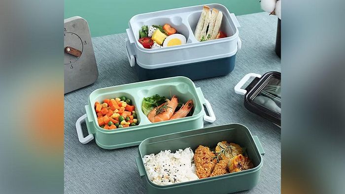 প্লাস্টিকের লাঞ্চ বক্স কতটা ক্ষতিকর?