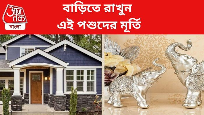 সুখ-সমৃদ্ধির জন্য বাড়িতে রাখুন এই পশুদের মূর্তি