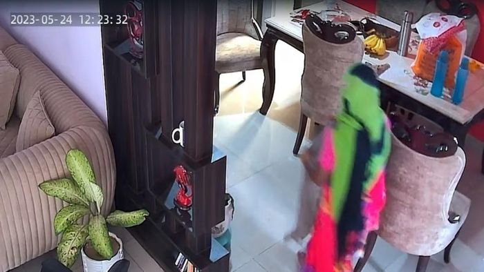 CCTV ফুটেজ: বালতিতে প্রস্রাব করল-তা দিয়েই ঘর মুছল পরিচারিকা, VIRAL