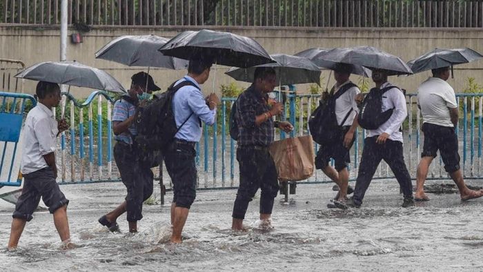 ফাইল ছবি।