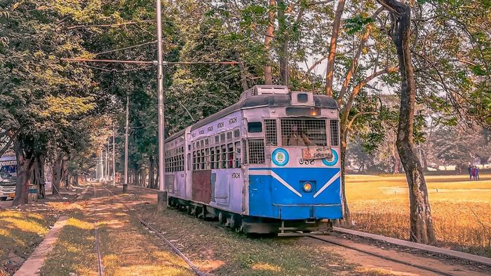 ফাইল ছবি।