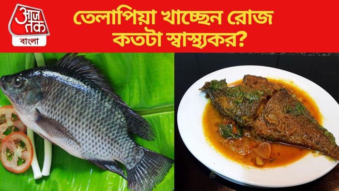 তেলাপিয়া মাছ কতটা স্বাস্থ্যকর?