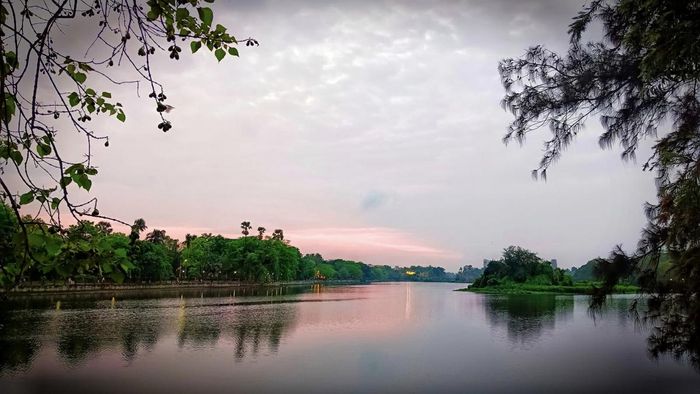 সংগৃহীত ছবি।