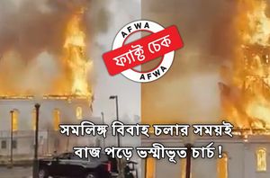 social media users social media users