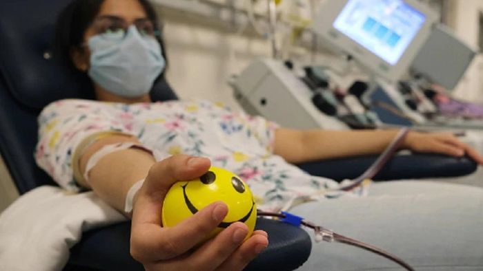 ফাইল ছবি।