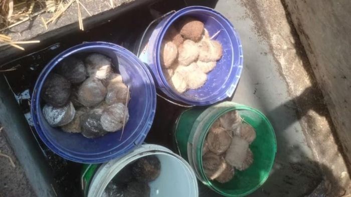 ফাইল ছবি।