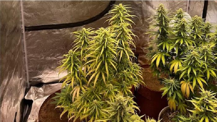 ফাইল ছবি।