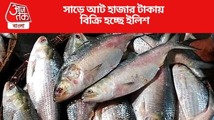 সাড়ে আট হাজার টাকায় বিক্রি হচ্ছে ইলিশ