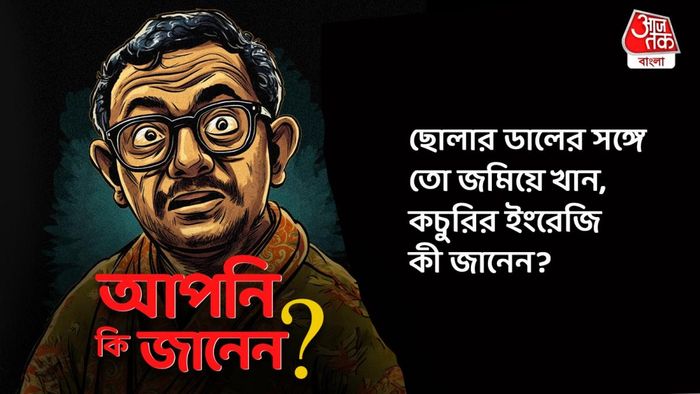 কচুরির ইংরেজি