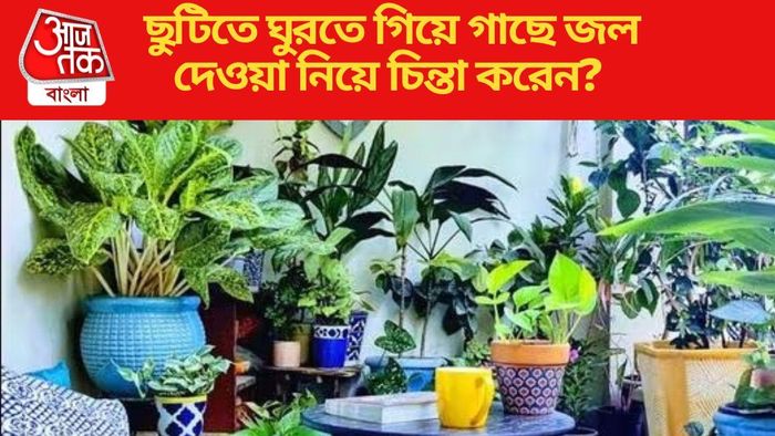 ছুটিতে ঘুরতে গিয়ে গাছে জল দেওয়া নিয়ে চিন্তা করেন?