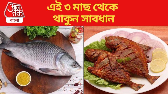 সব মাছ শরীরের জন্য স্বাস্থ্যকর নয়