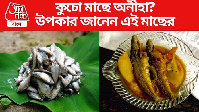 কুচো মাছের উপকারিতা জানুন