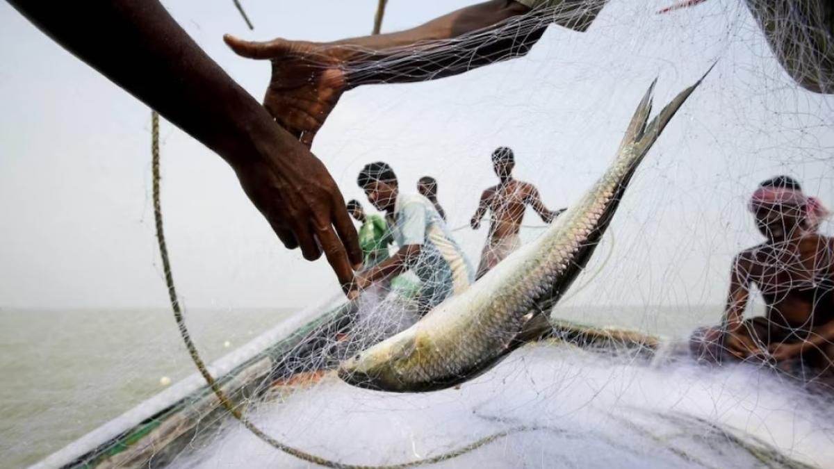 রুই-কাতলা সহ একাধিক মাছের প্রজাতি মারাত্মকভাবে কমেছে গঙ্গায়: রিপোর্ট