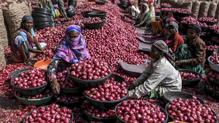 ভারত থেকে শুরু পেঁয়াজ আমদানি