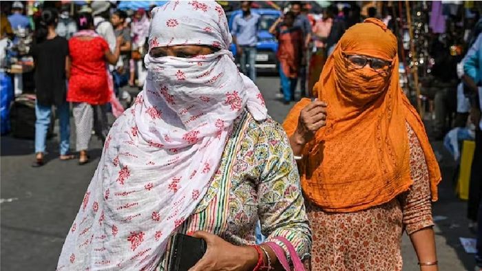 ফাইল ছবি।