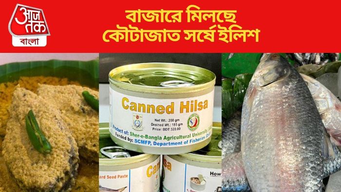 বাজারে মিলছে কৌটাজাত সর্ষে ইলিশ
