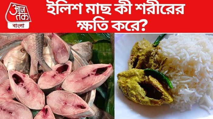 ইলিশ মাছ ক্ষতি করে শরীরের?