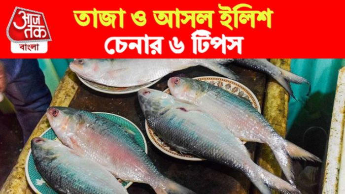 Hilsa Identify Tips