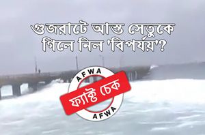 Social media users Social media users