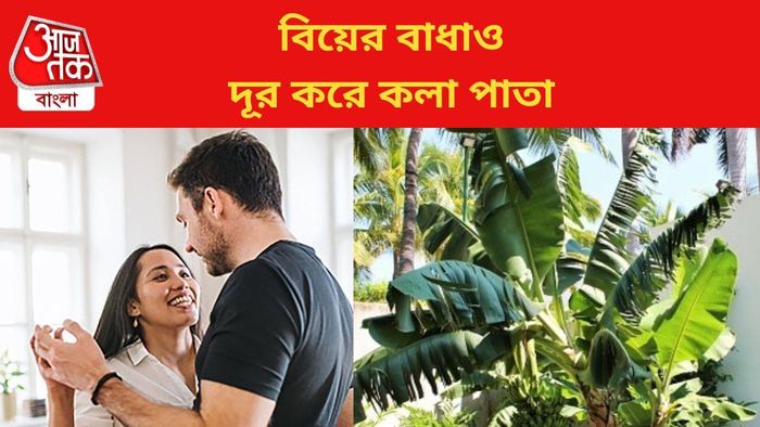 বিয়ের বাধাও দূর করে কলা পাতা