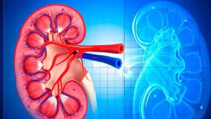 প্রতীকী ছবি