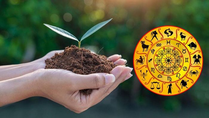 প্রতীকী ছবি