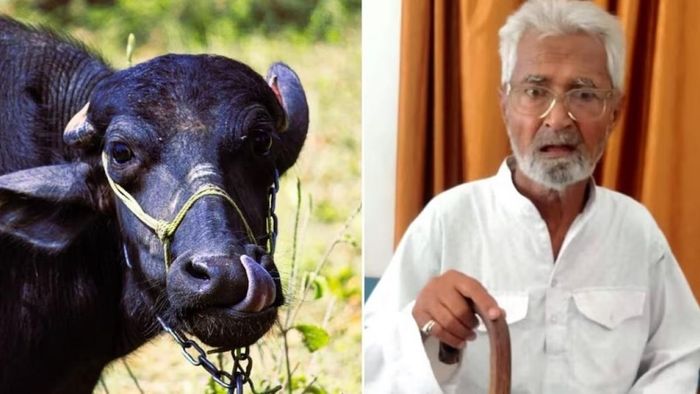 ফাইল ছবি।