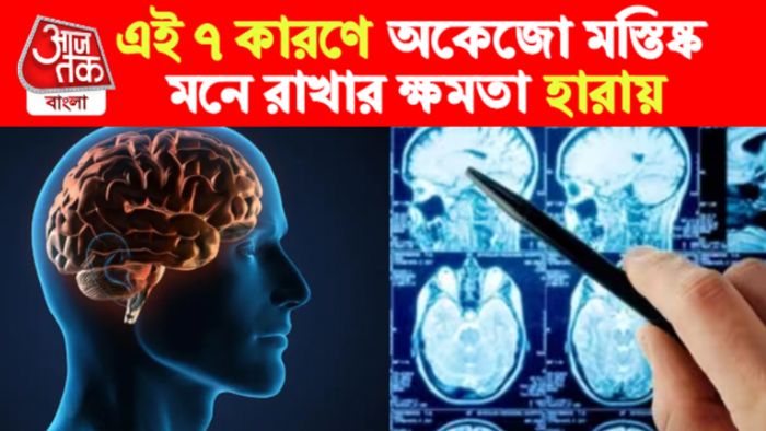 Bad Habits For The Brain