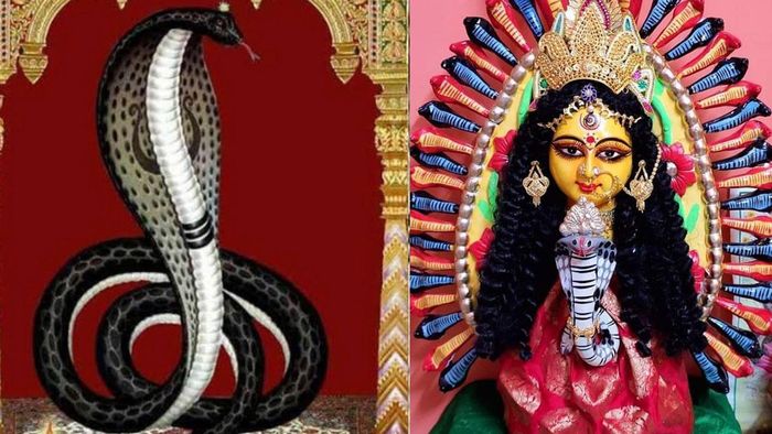 নাগ পঞ্চমীর দিনক্ষণ