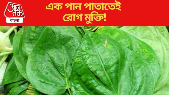 এক পান পাতাতেই রোগ মুক্তি!