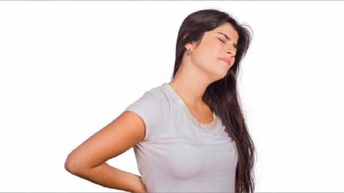 ফাইল ছবি।